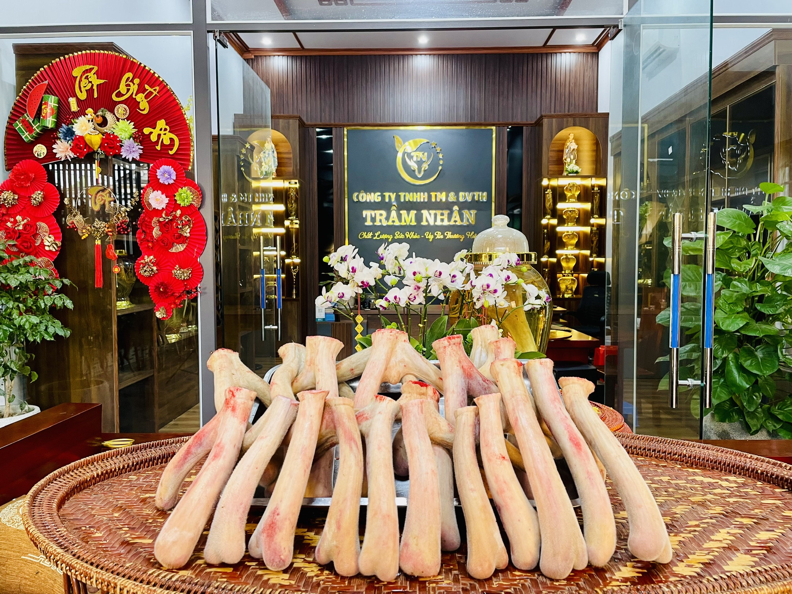 Nhung hươu tươi Hương Sơn - Trầm Nhân